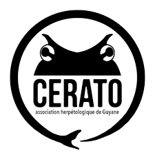 part_CERATO