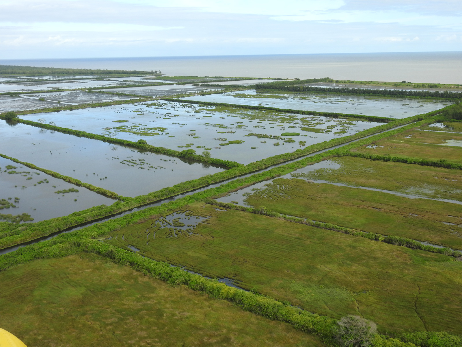 Gestion du Polder Sarcelle