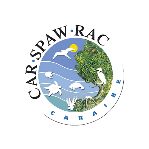 part-car spaw