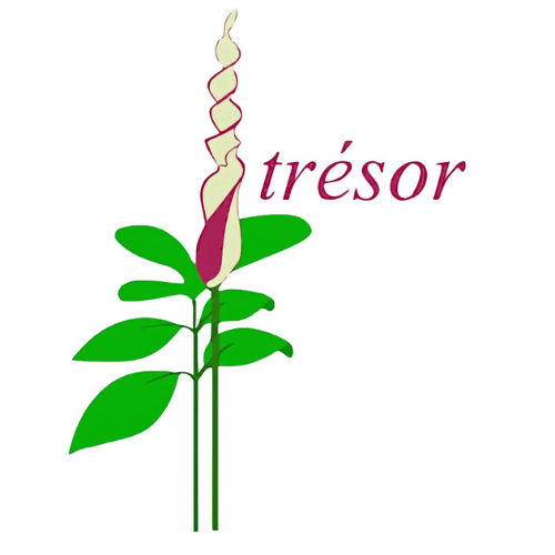 part-trésor (2)
