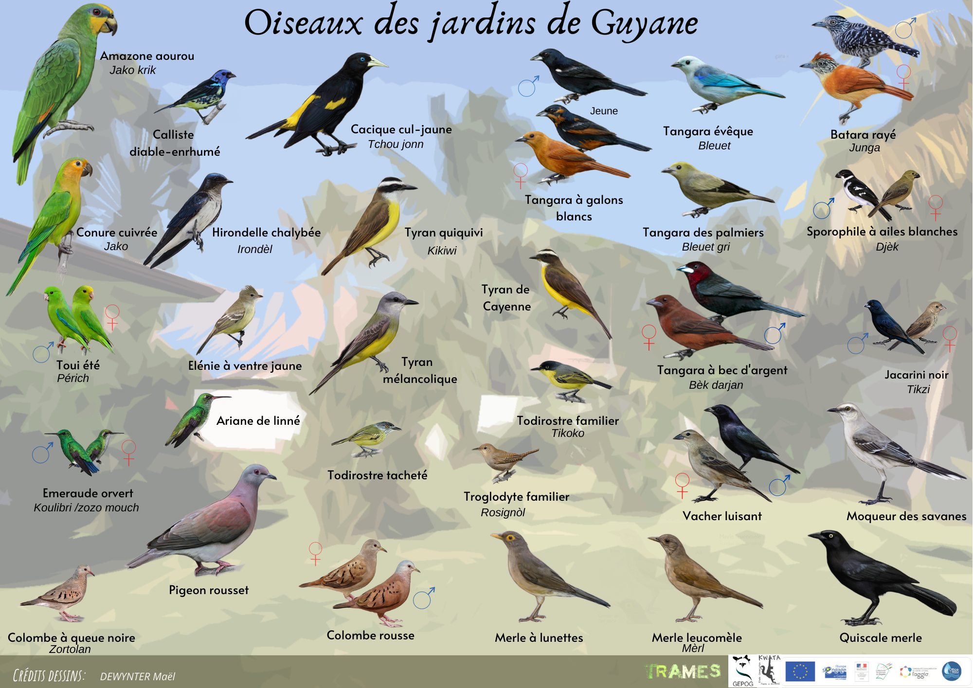 Projet TRAMES