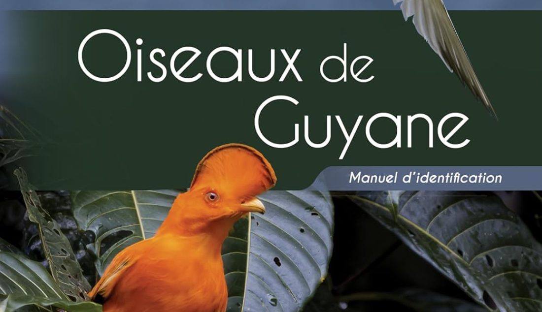 Actu_premier-guide-oiseaux